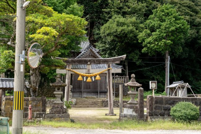 十六代続く農家です