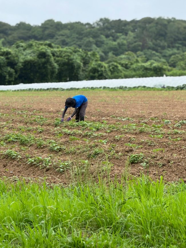 LINE_ALBUM_20251211_251211_1