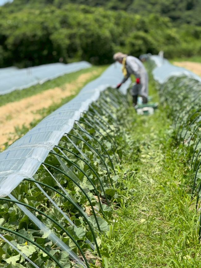 LINE_ALBUM_20251211_251211_16