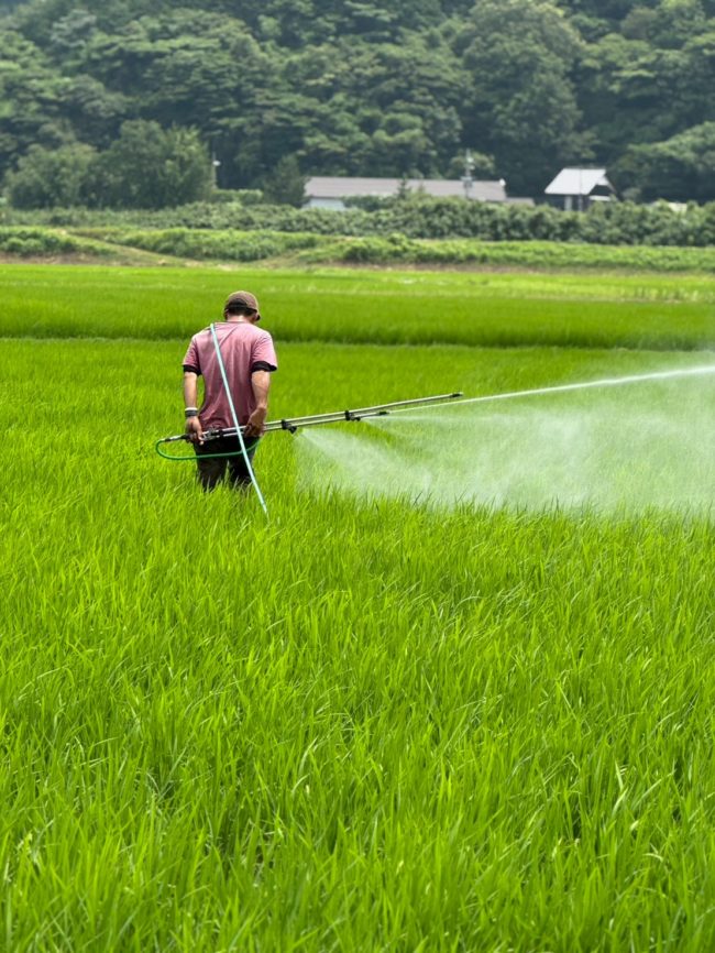 LINE_ALBUM_20251211_251211_18