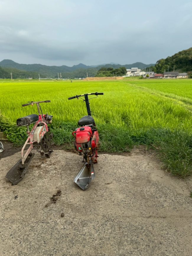 LINE_ALBUM_20251211_251211_19