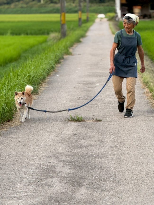 LINE_ALBUM_20251211_251211_20