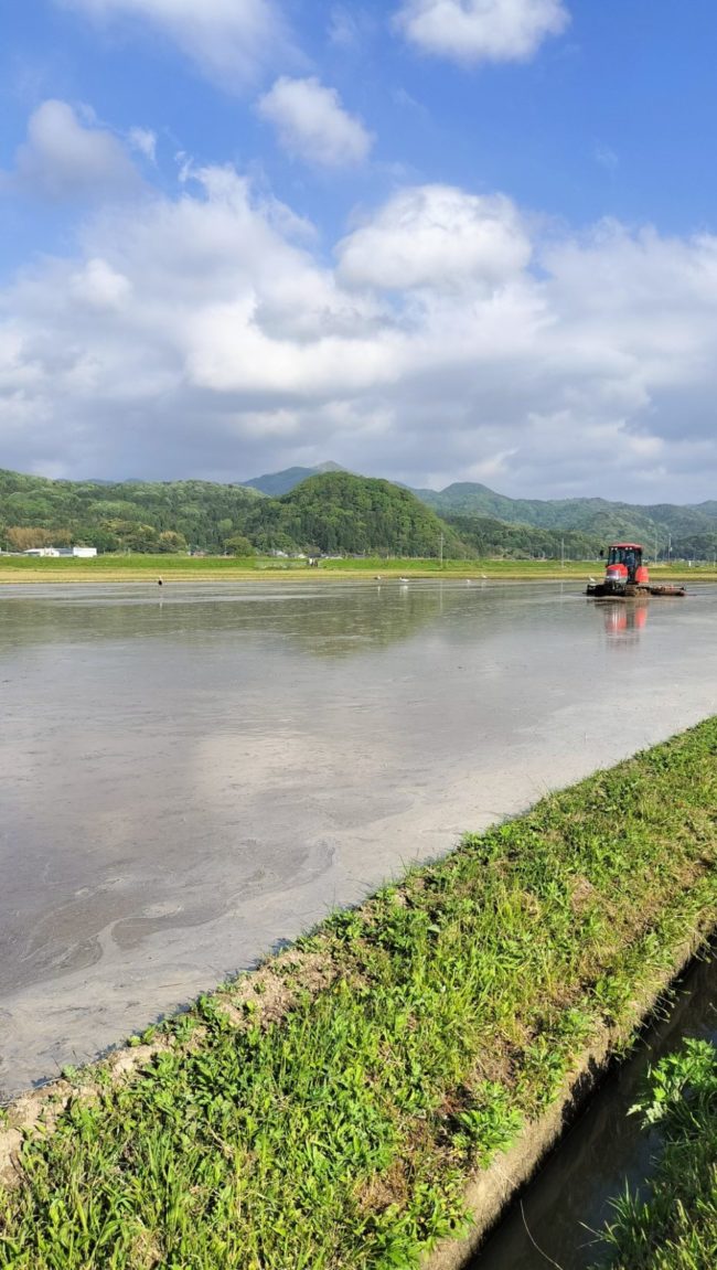 LINE_ALBUM_20251211_251211_6